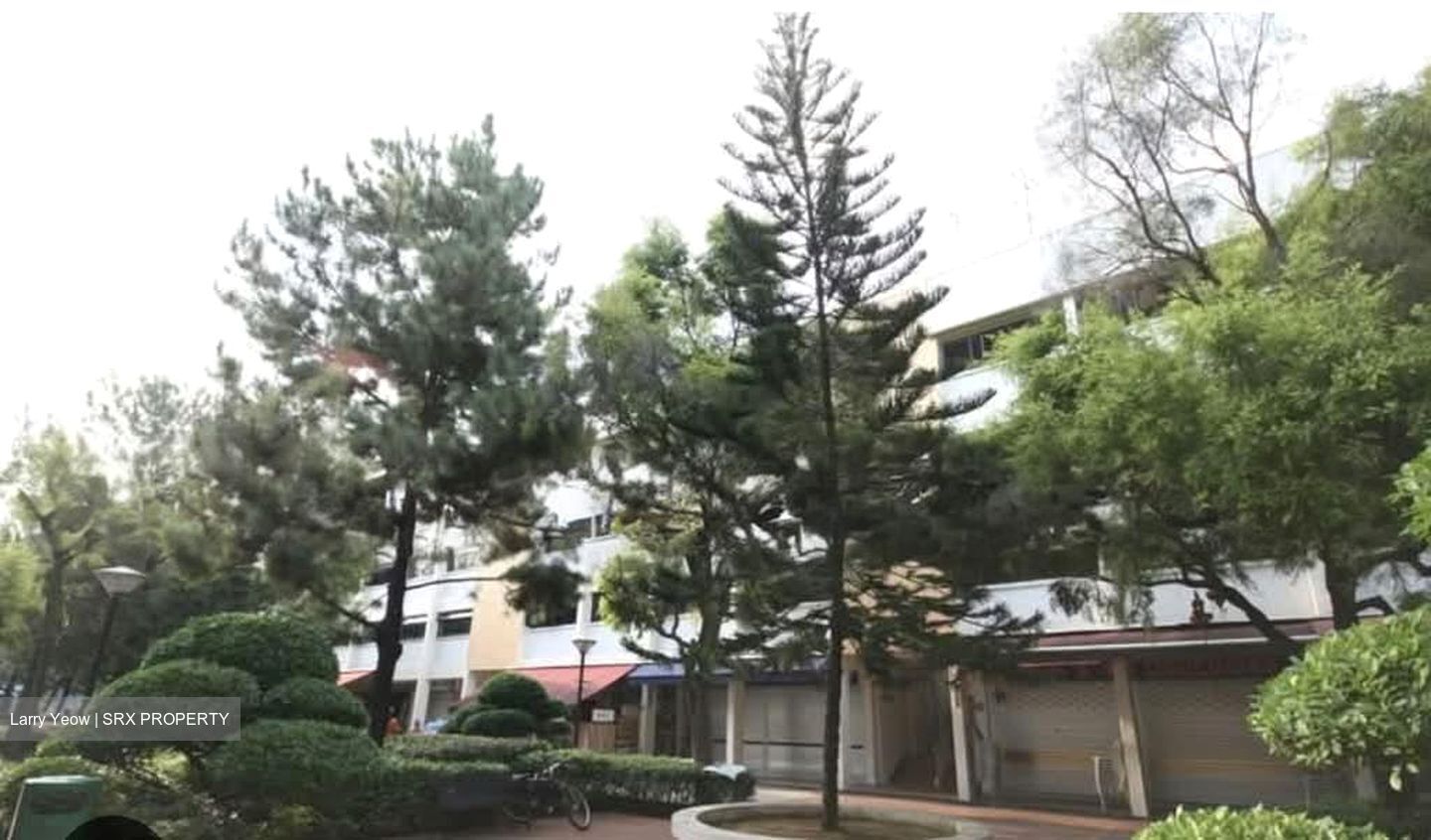 Pandan Gardens (D22), Shop House #567466921